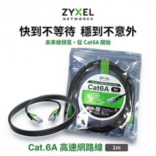 ZyXEL Cat.6A 網路線(1m) ZZ0110F