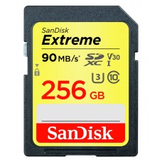 SANDISK SDSDXVF-256G-GNCIN