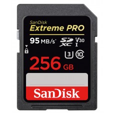SANDISK SDSDXXG-256G-GN4IN